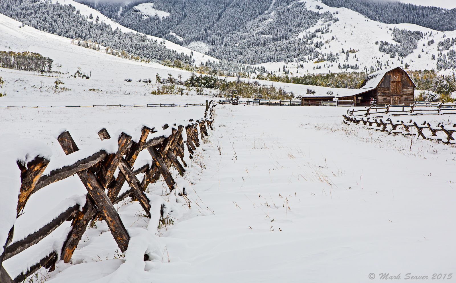 Fall Snow