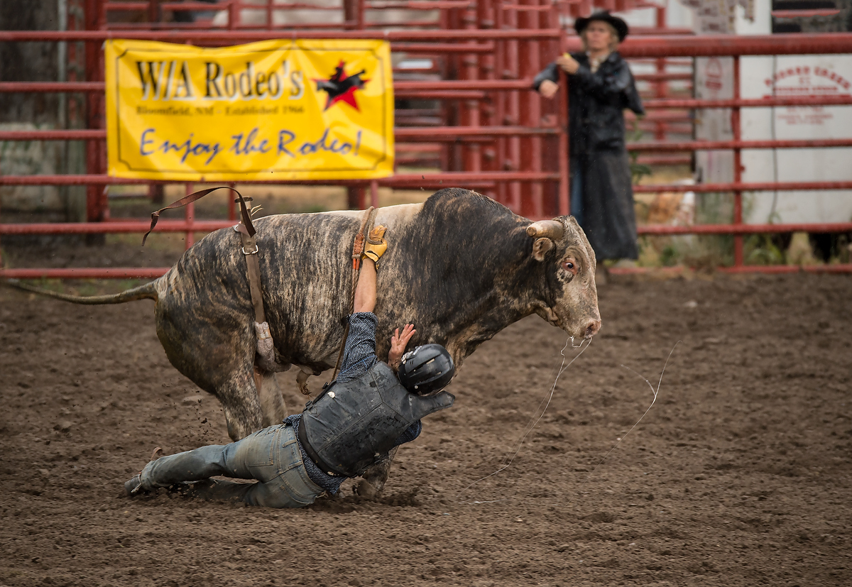 Enjoy the Rodeo