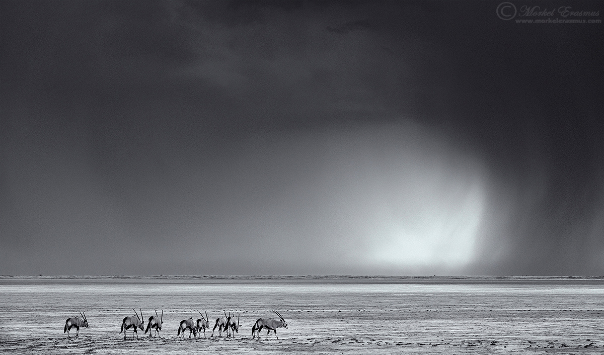 The Promise of Rain