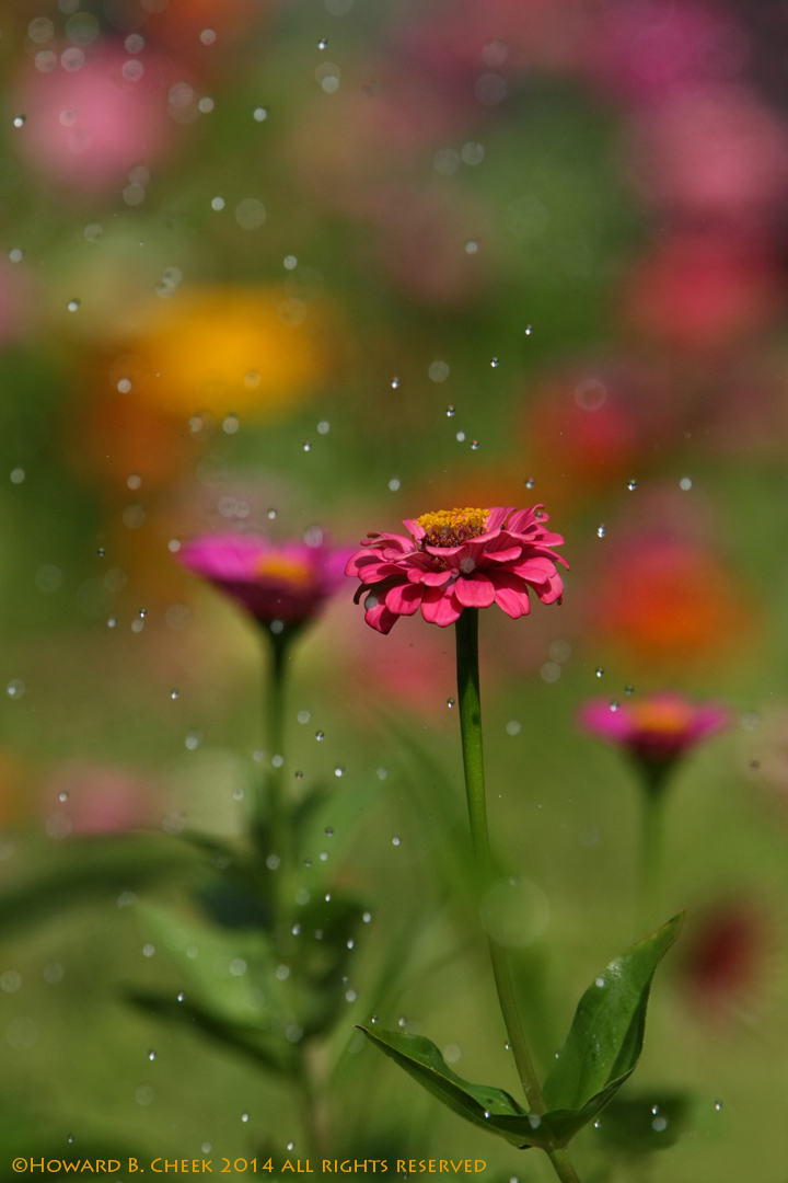 Stop the Drops