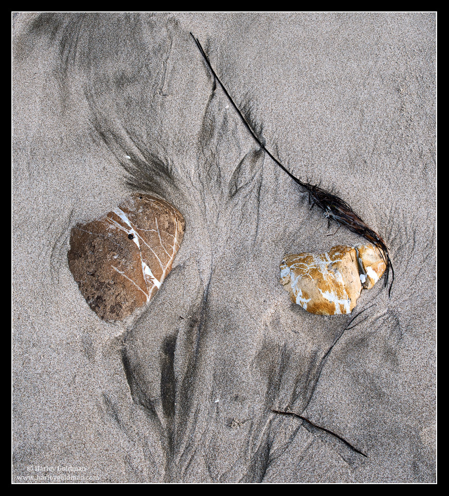 Beach Rocks