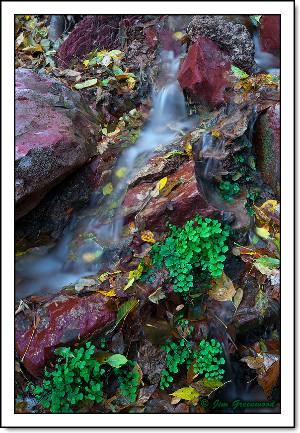 Red Rock Water Garden