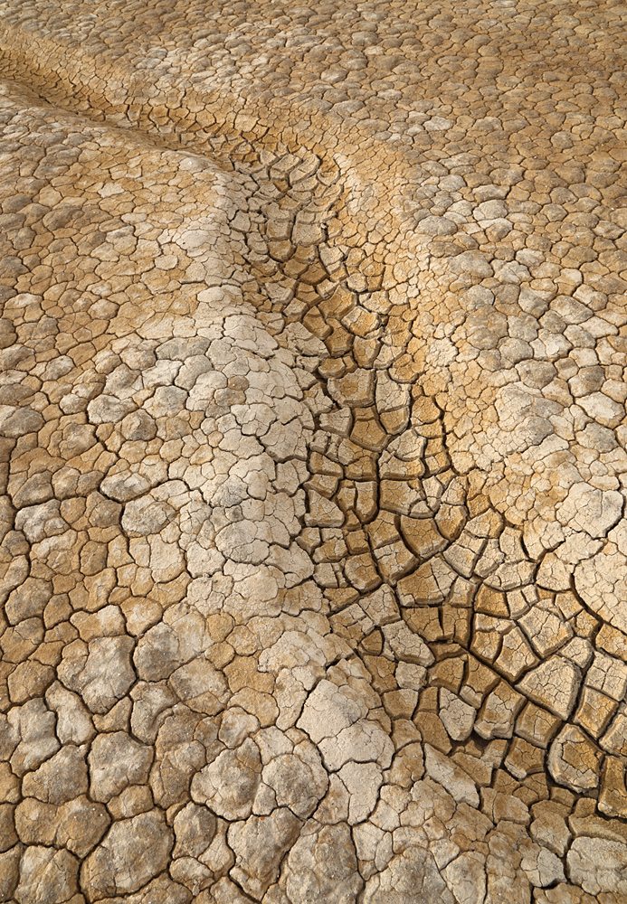 Dry as Dirt