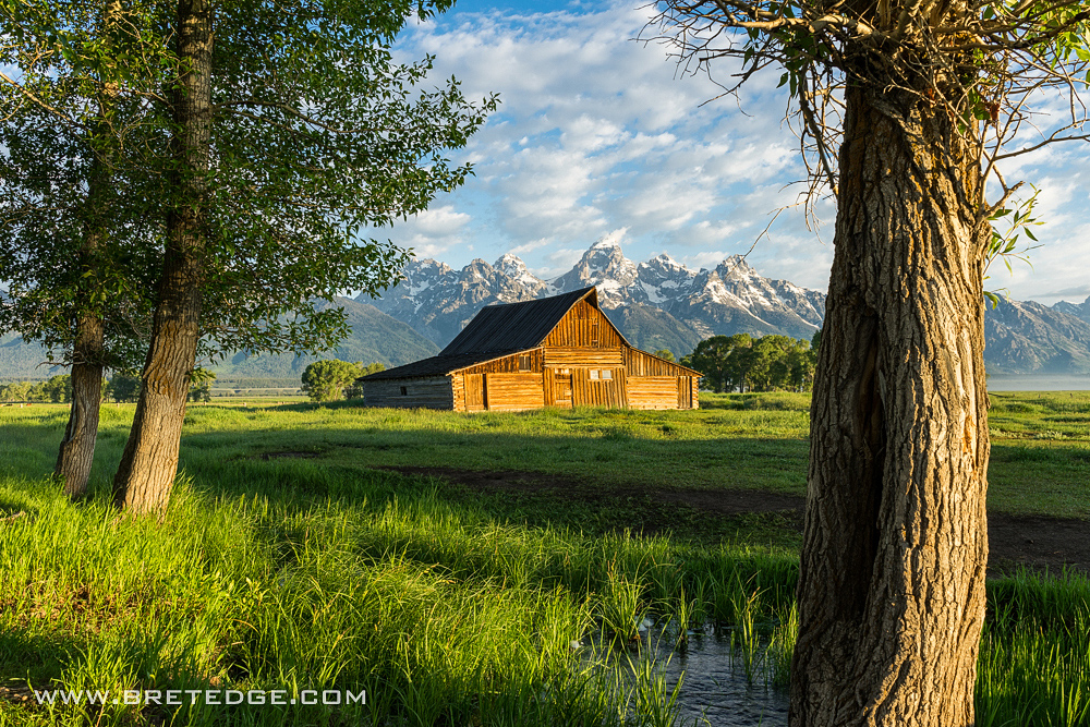 Moulton Barn