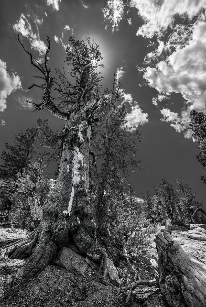 Mt Rose, Lake Tahoe