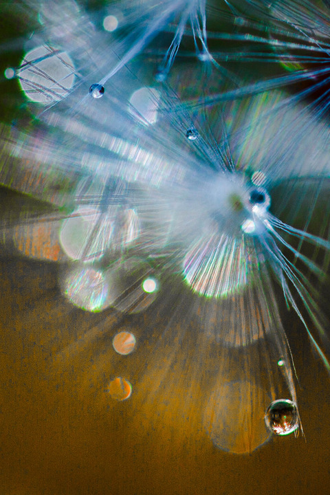 Bokeh Magic