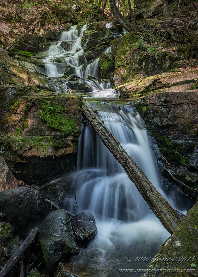 Deep Shadow Falls