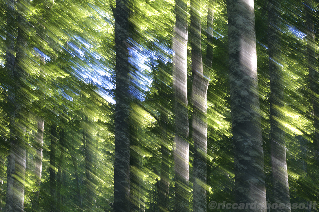 Rays of light