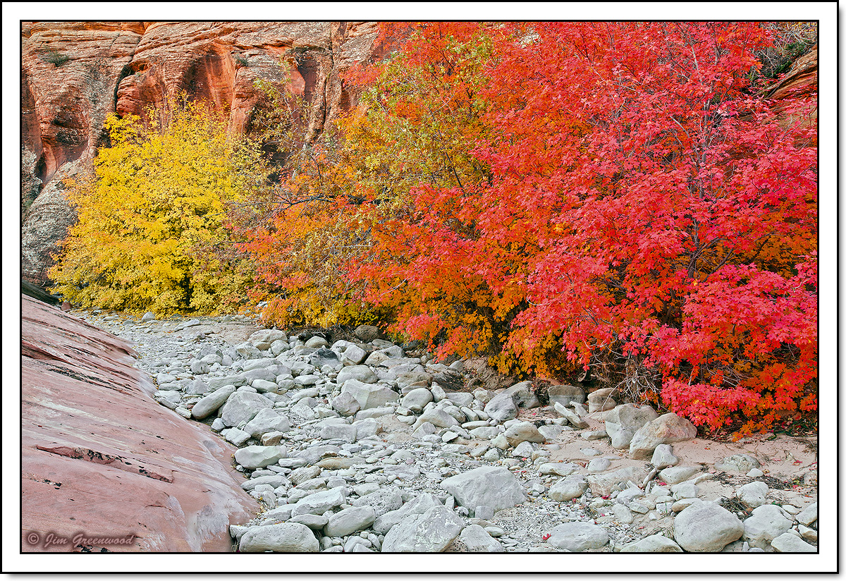 WC #700 - Rocky Path