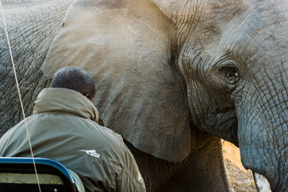 Close Encounter  Repost