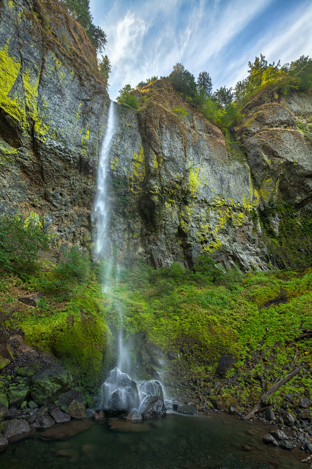 Wispy Elowah