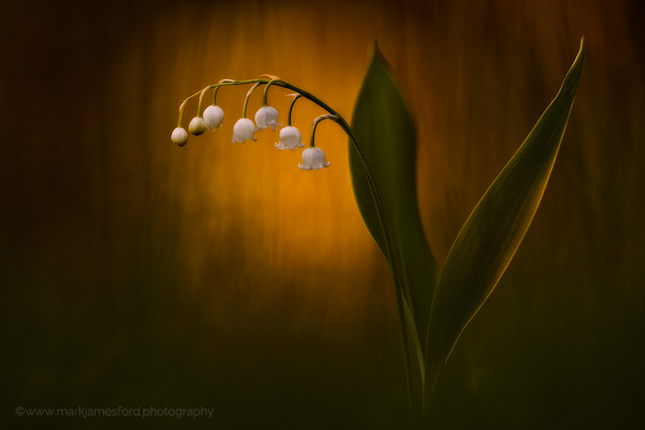 On The Edge Of Night