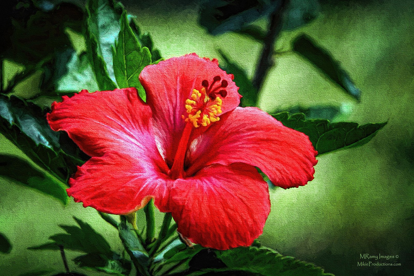 'Enjoying the Light'