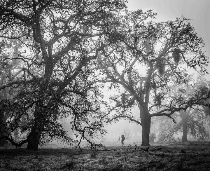 Foggy Focus