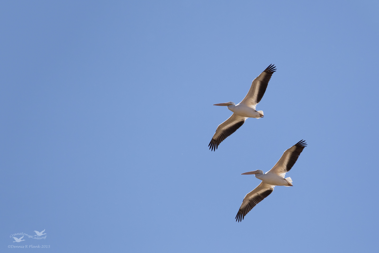 Formation Flying
