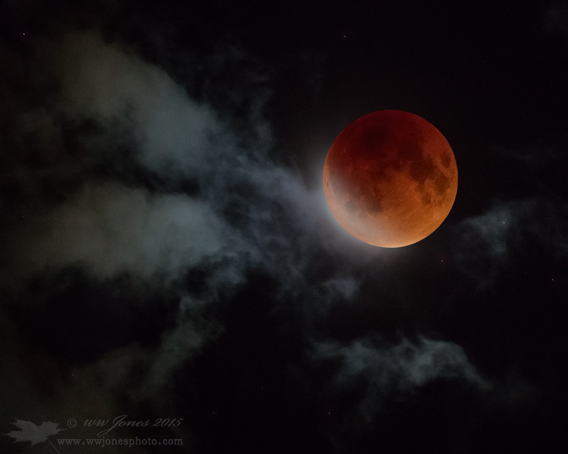 The Blood Moon