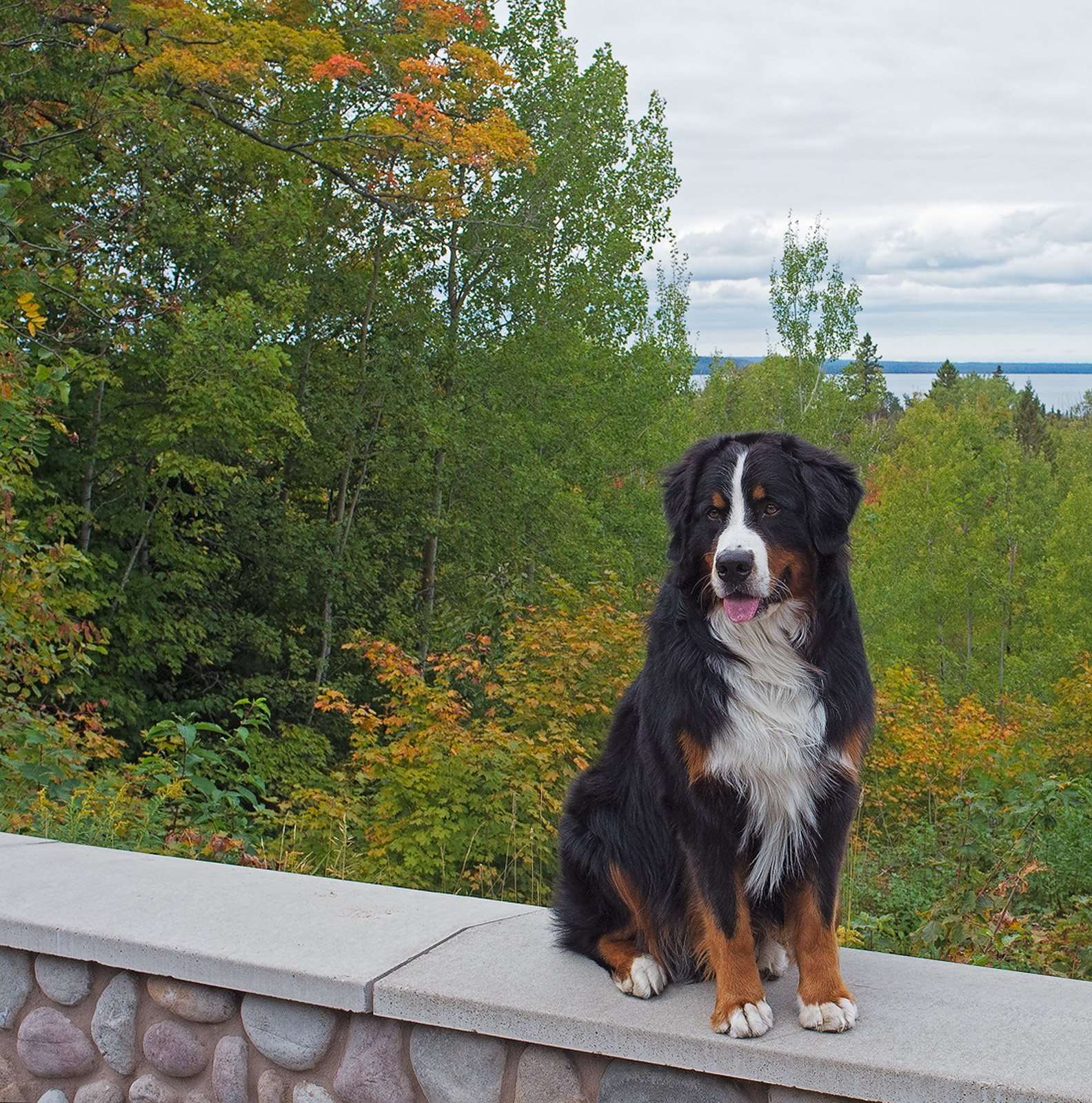 Havoc's Birthday