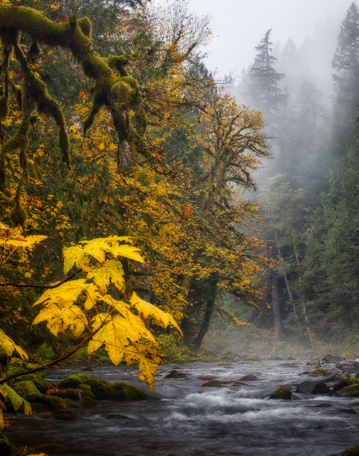 Salmon River Rain #2
