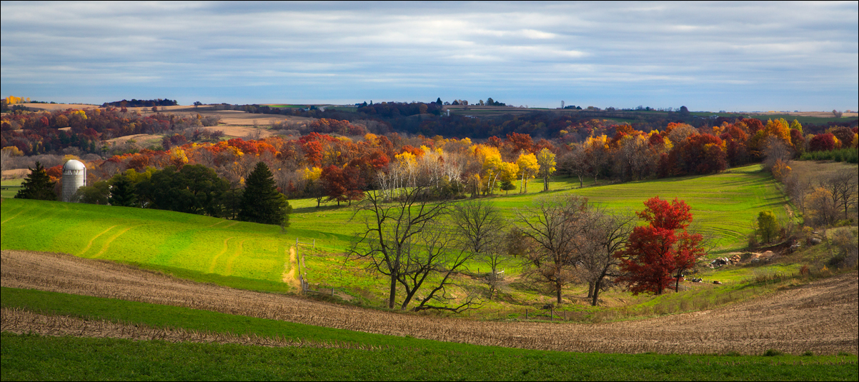 Farm Land