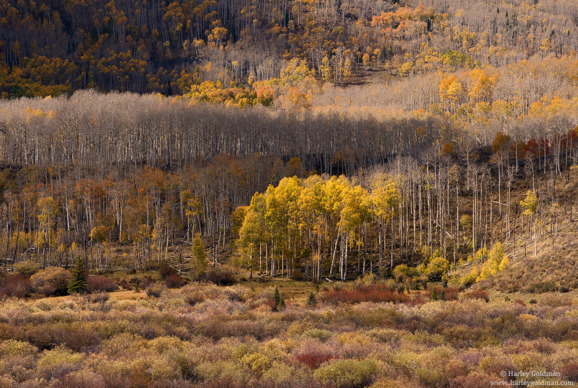Layers of Color