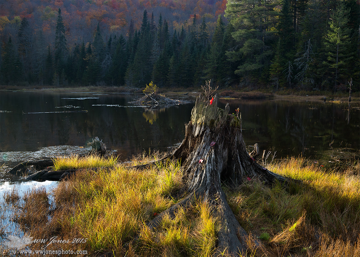 Lingering Light/Effects