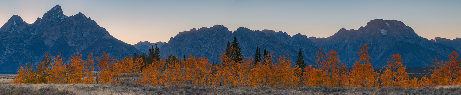 Autumn In The Teton's
