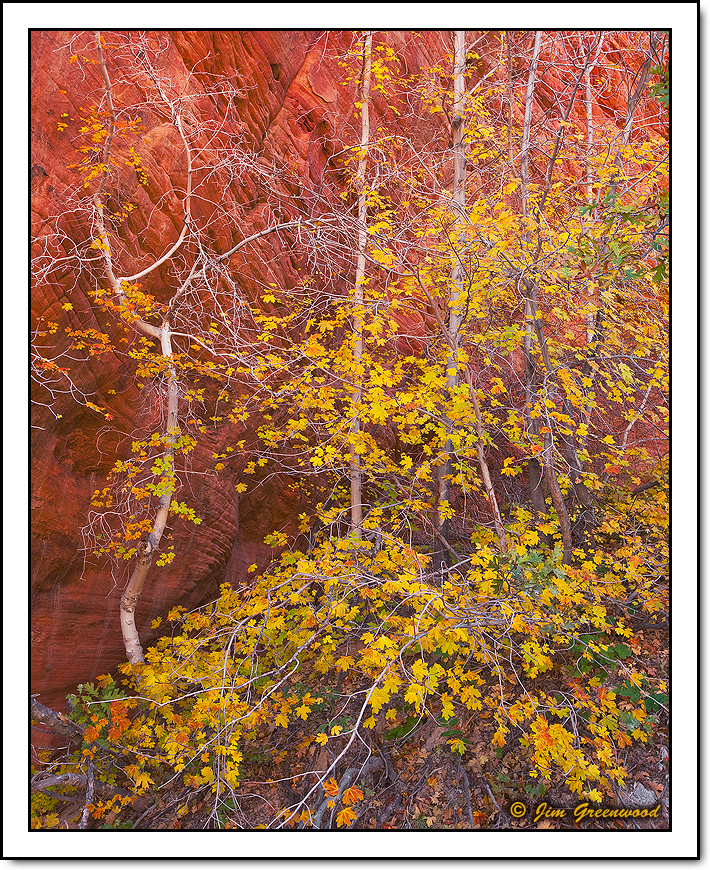 Autumn Alcove