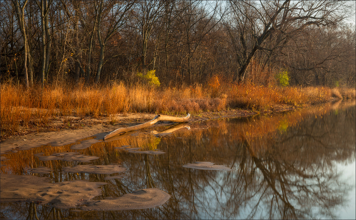 Moods of November 2