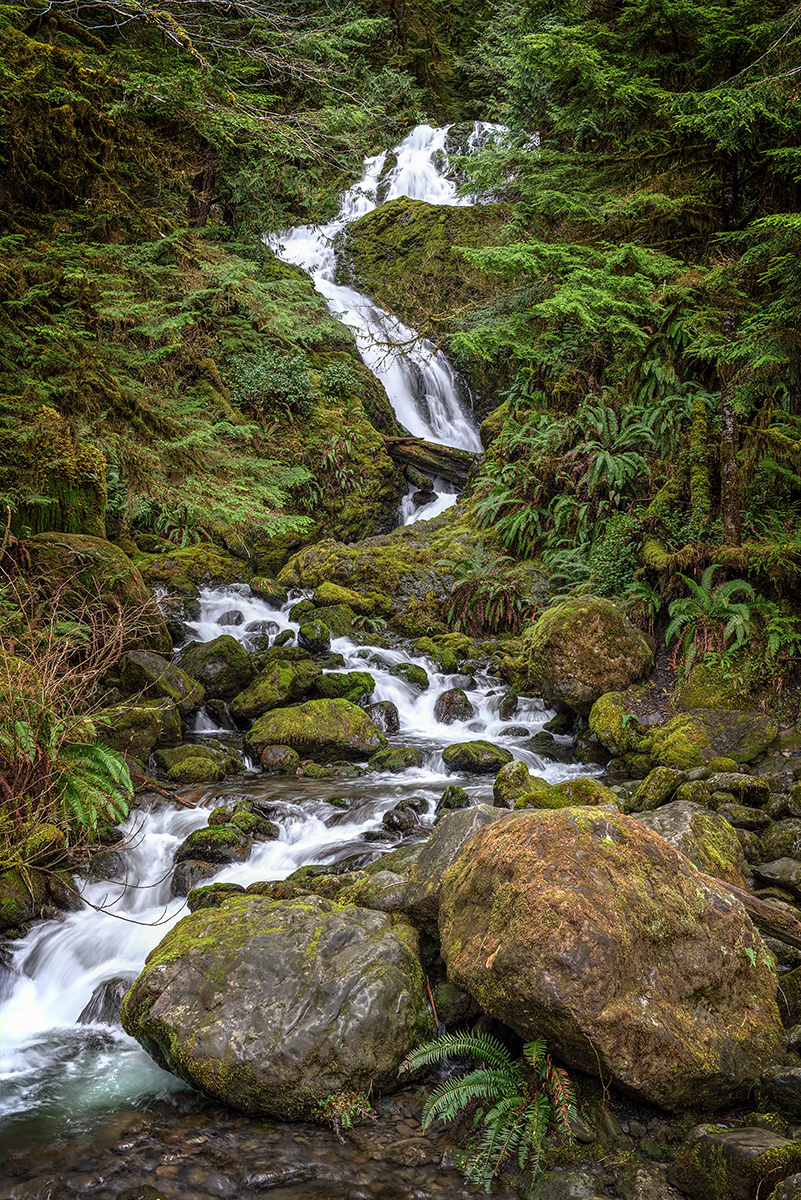 Bunch Creek Falls