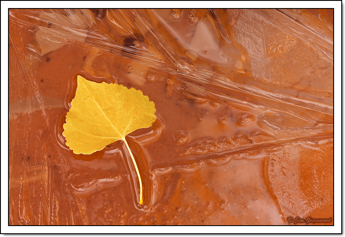 Autumn on Ice II