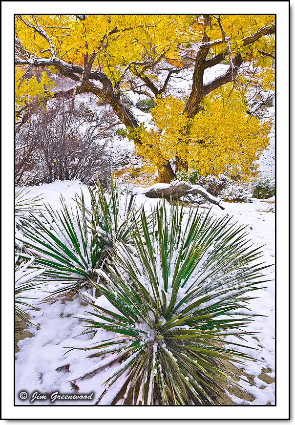 Autumn Snow (Revisited)