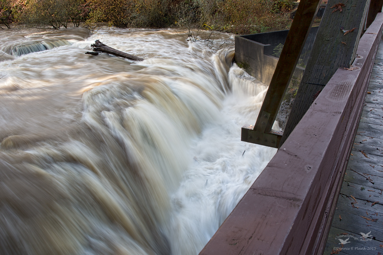 Tumwater Falls