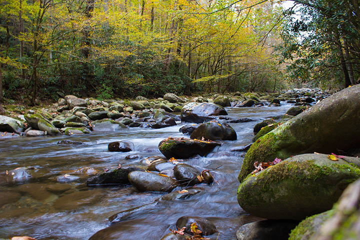 Sugarland Rapids