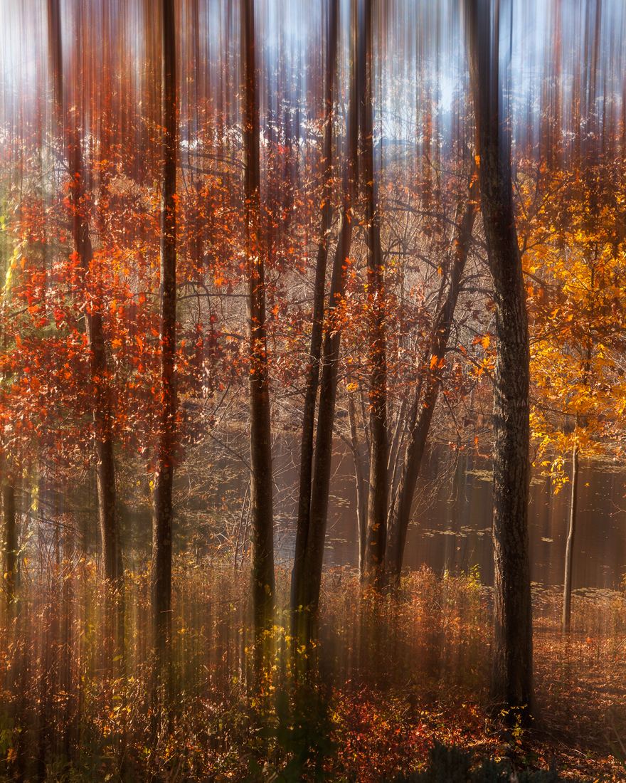 Autumn Dream Abstract