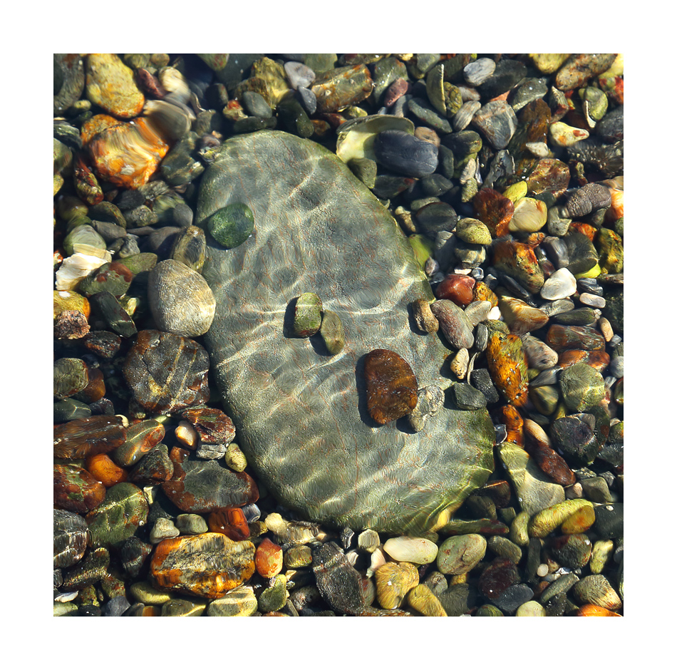 Tidepool Jewels #2