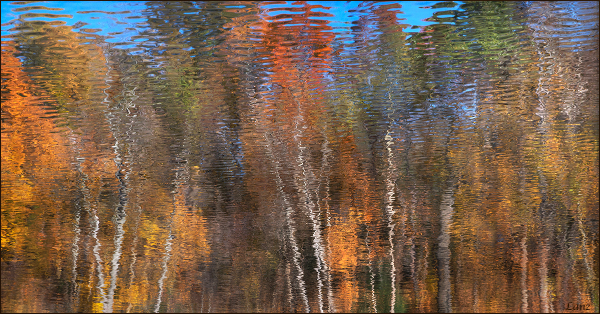 Autumn Impressions 2