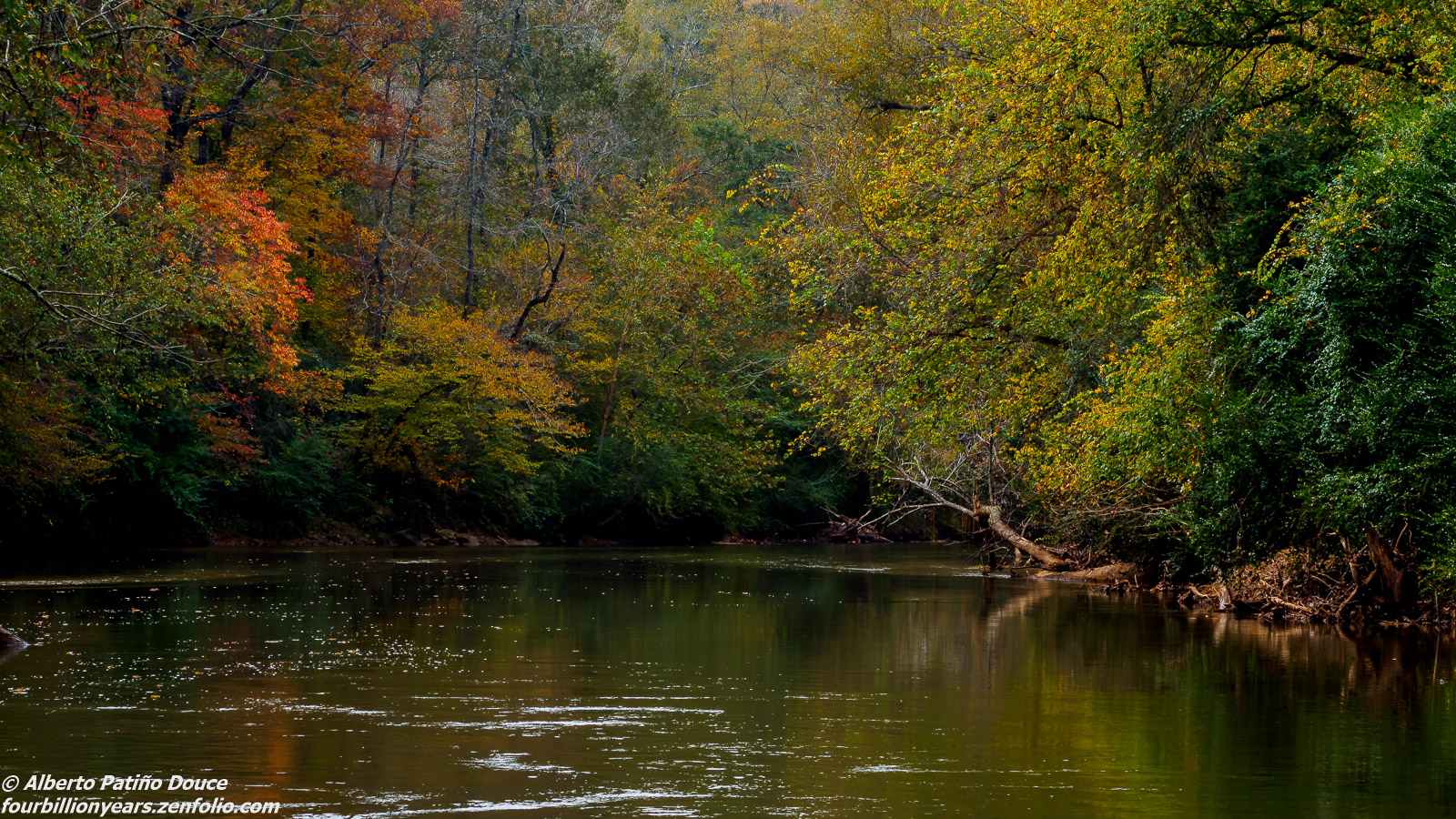 Georgia Autumn re-post