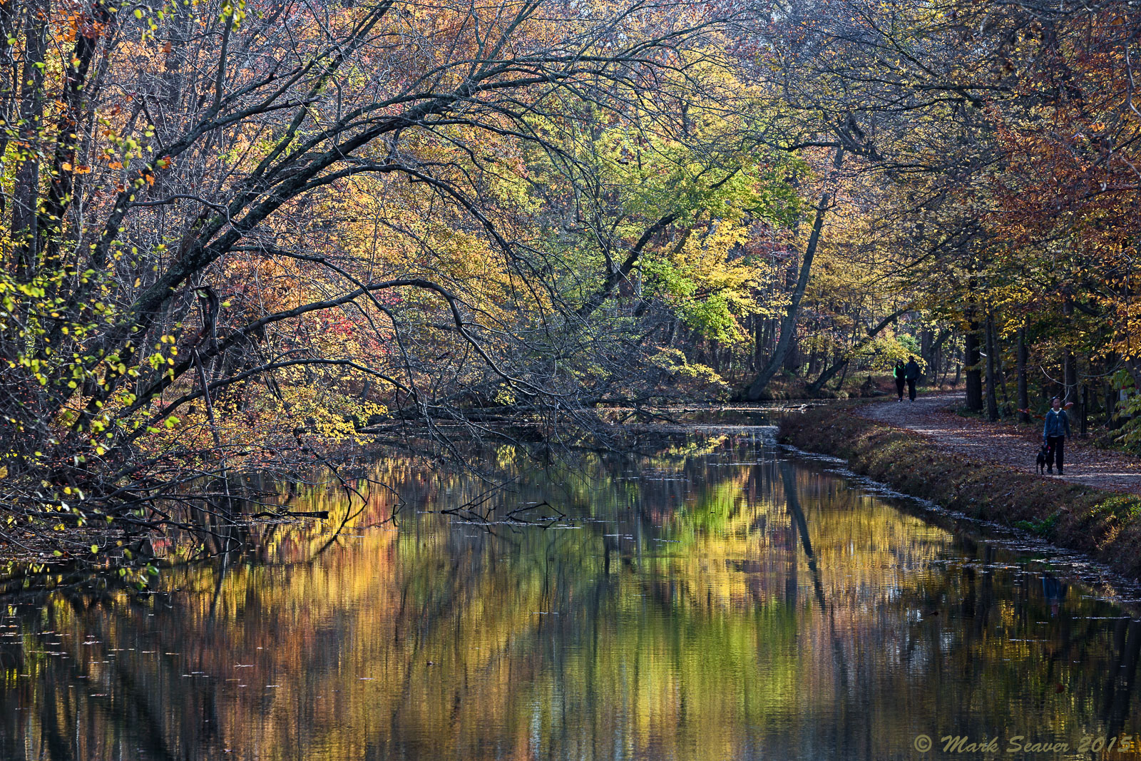 Fall on the Canal