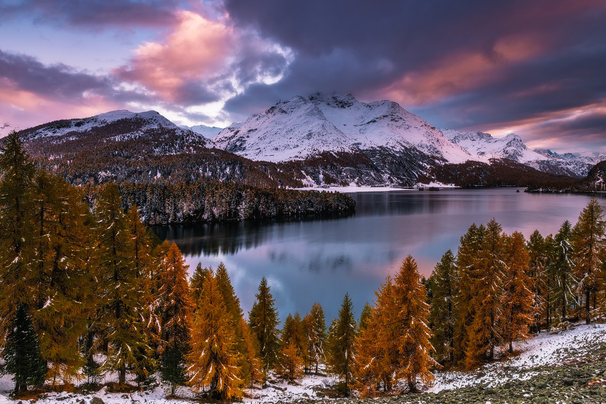 Autumn Serenade