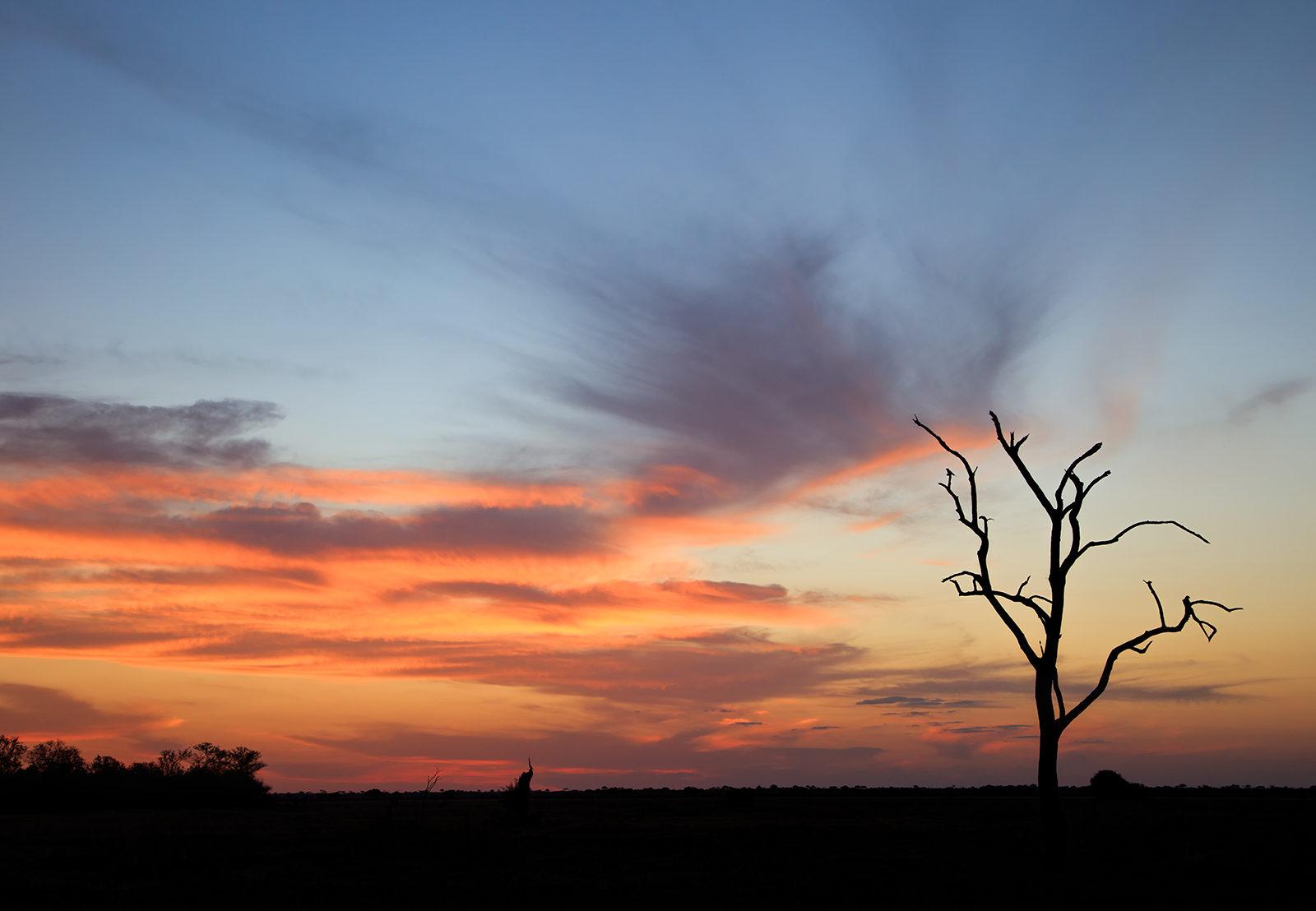 Savute Sunset