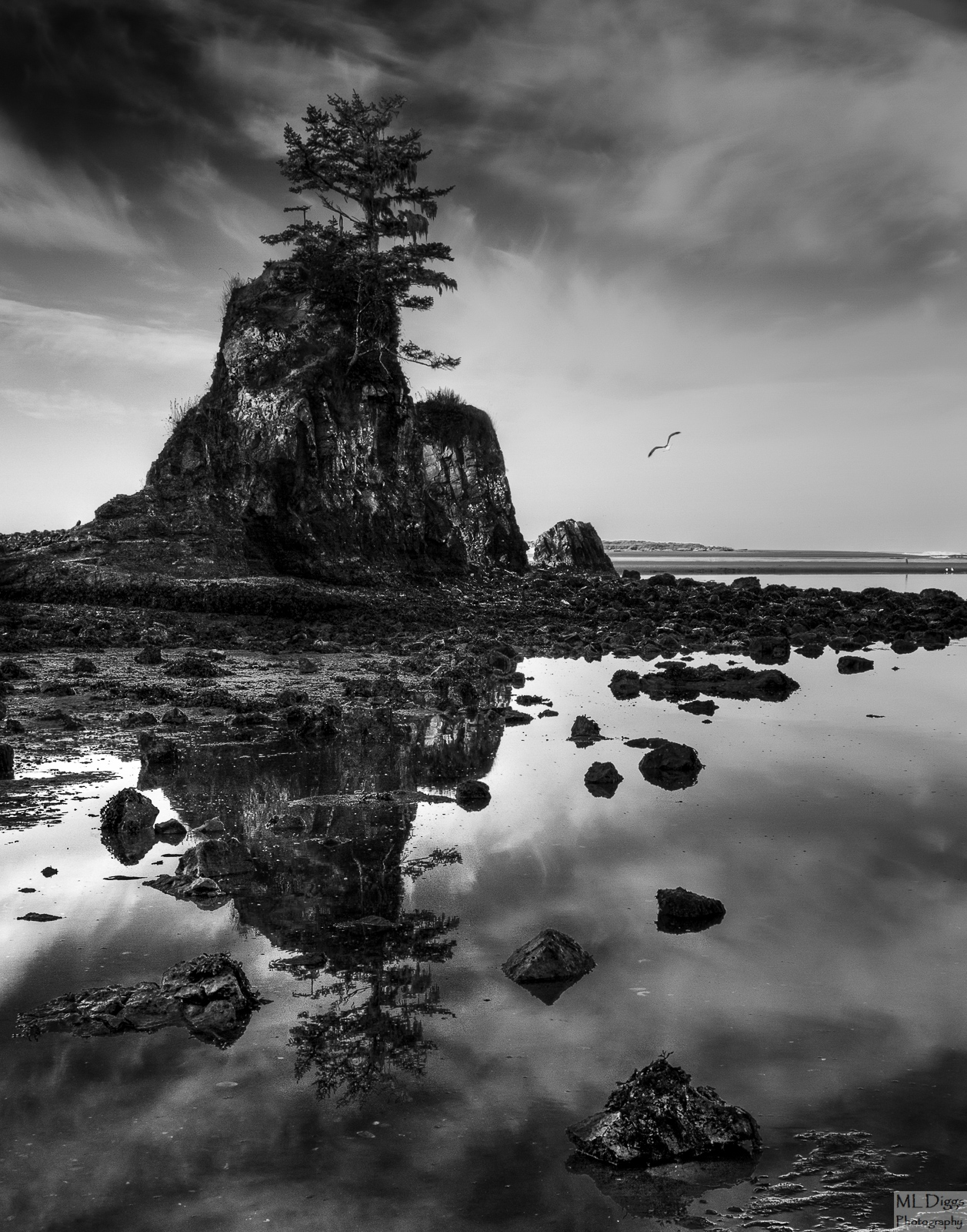 Seastack--Scroll to Diff Crop