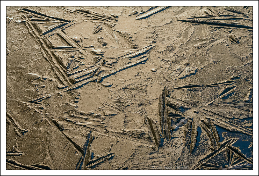 Yosemite Details #13