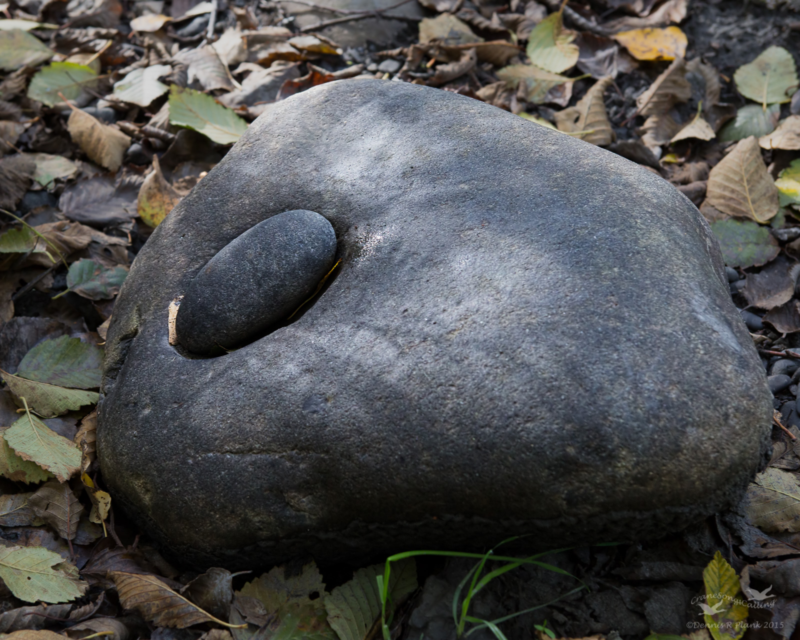 Nested Rock