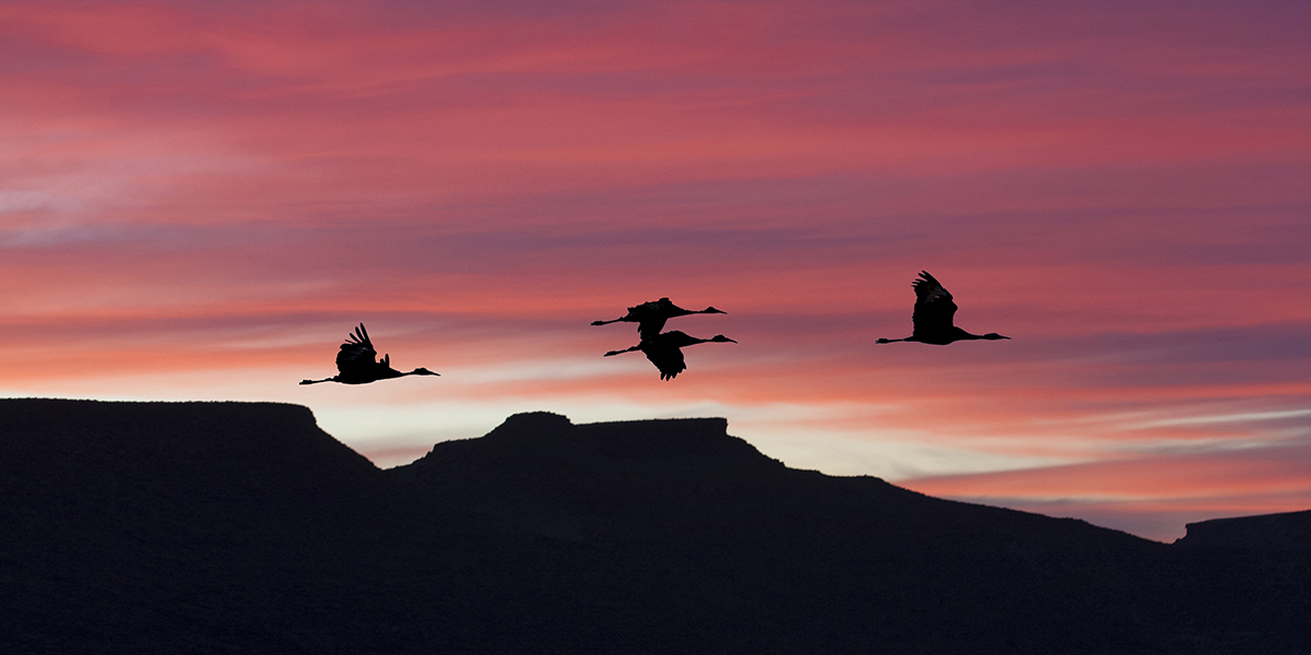 Malheur Sunset