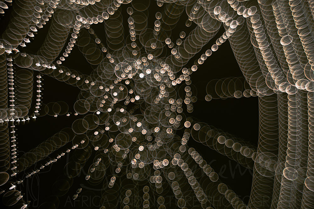 The Abyss