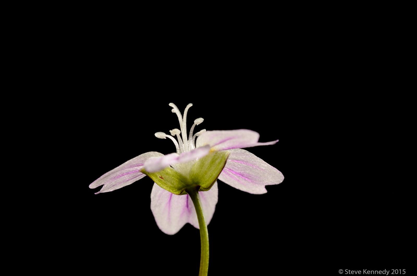2011 Revisited #5