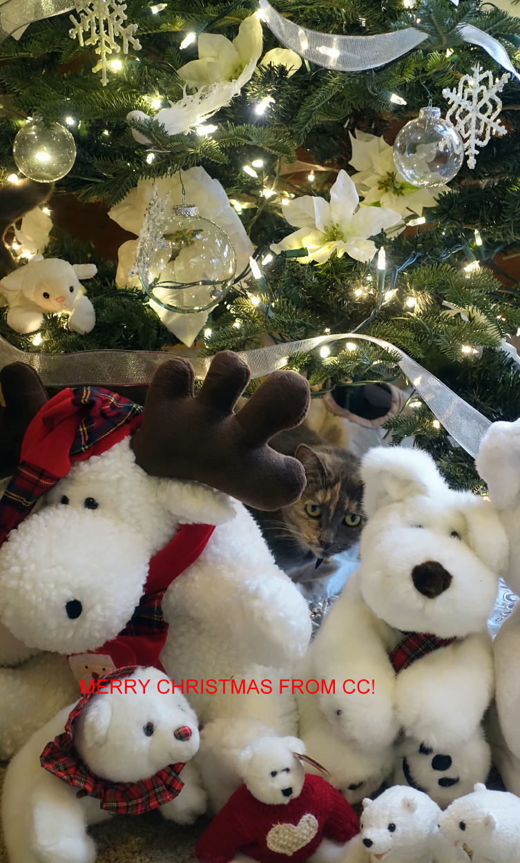 CC's Greetings