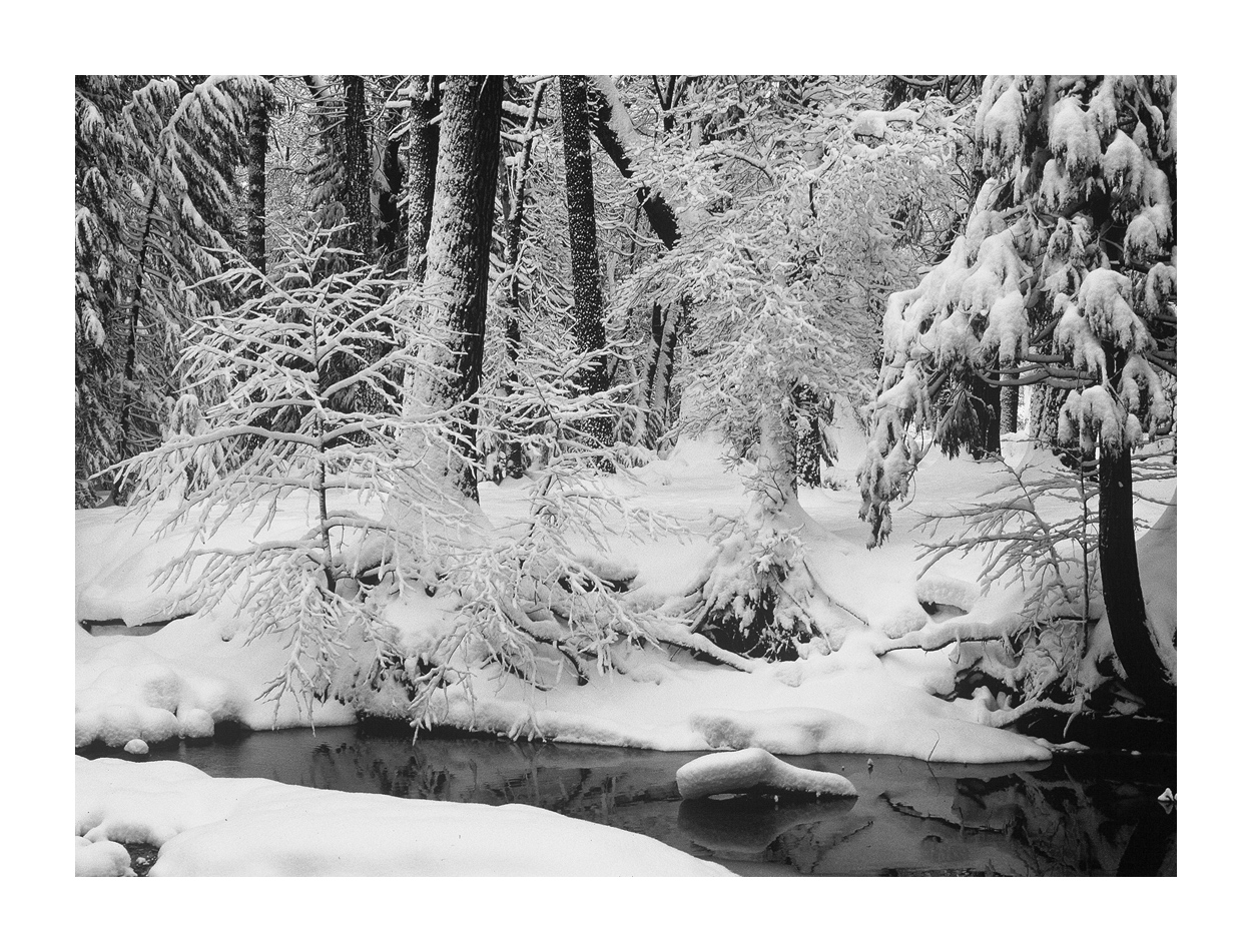 Yosemite Christmas