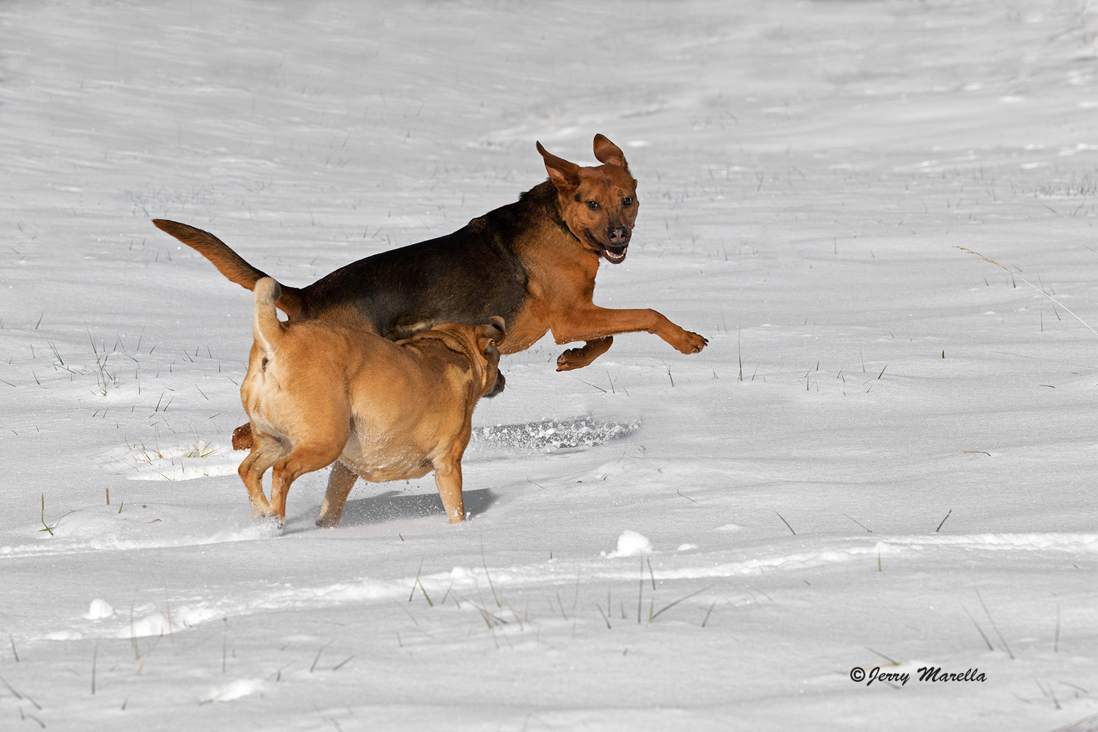 The Chase