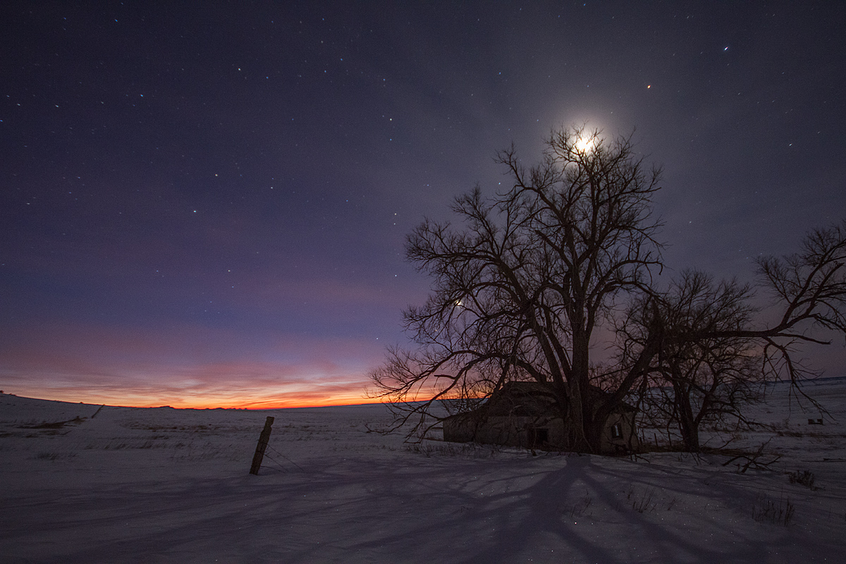 Under the Moonlight 